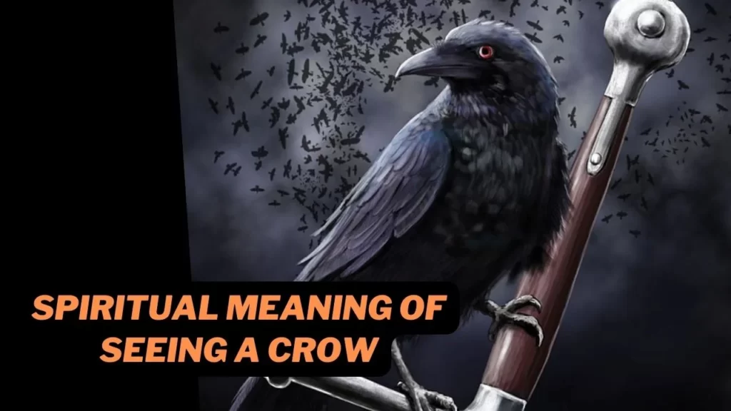 spiritual meaning of seeing a crow